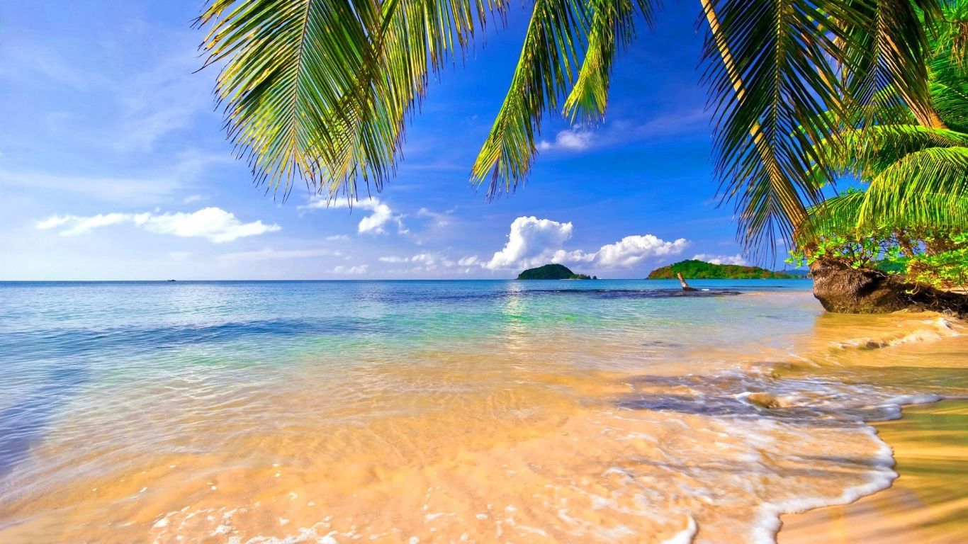 Conchal Beach