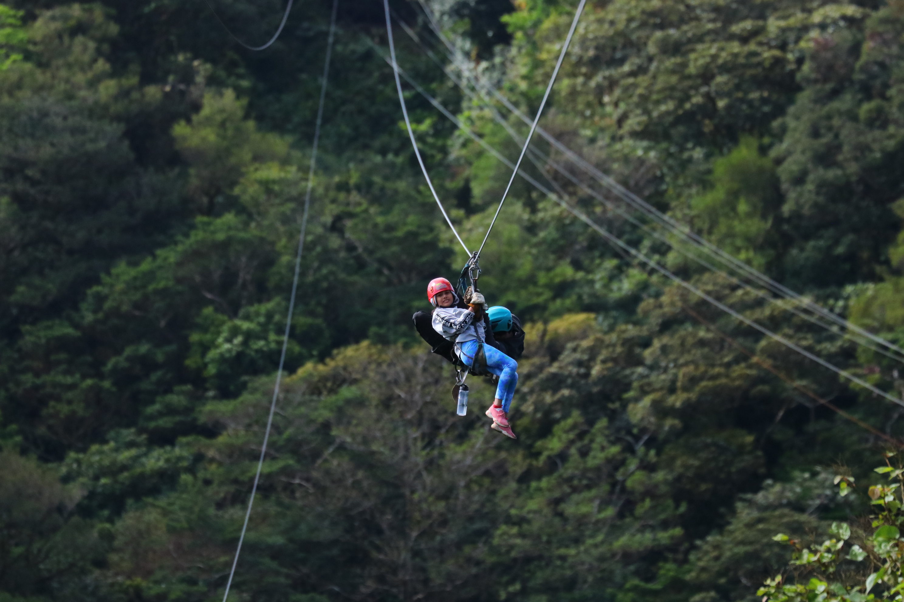 Custom Itineraries