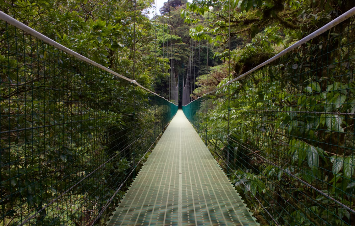 Monteverde Hanging Bridges