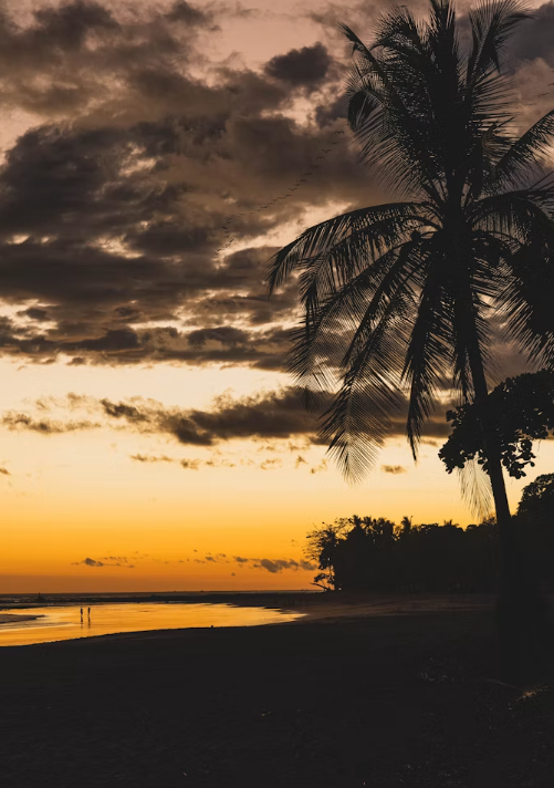 Costa Rican Sunset