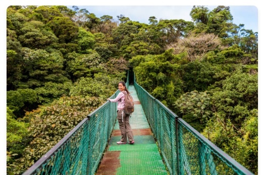 Sky Walk / Selvatura Puentes en el dosel