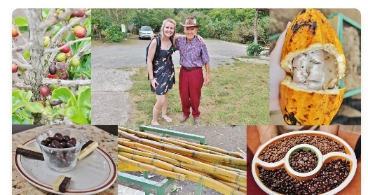 Café, caña de azúcar y chocolate