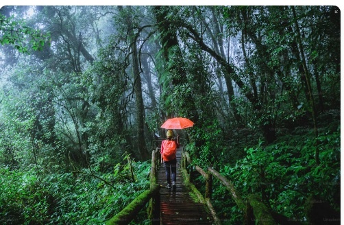 Caminata a la catarata del río Savegre