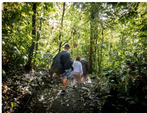 Parque Nacional Corcovado excursión de día completo