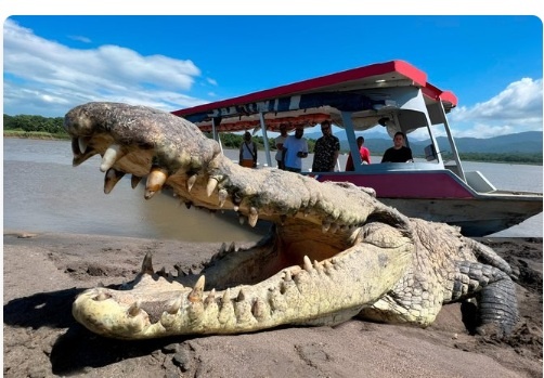 Parque Nacional Carara y cocodrilos del Tárcoles